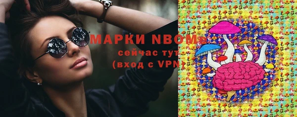 шишки Наволоки