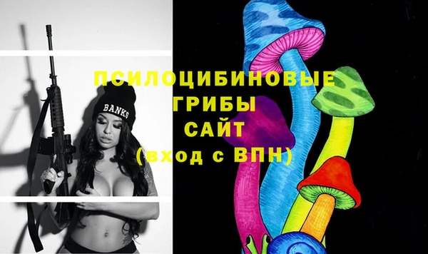 ECSTASY Надым