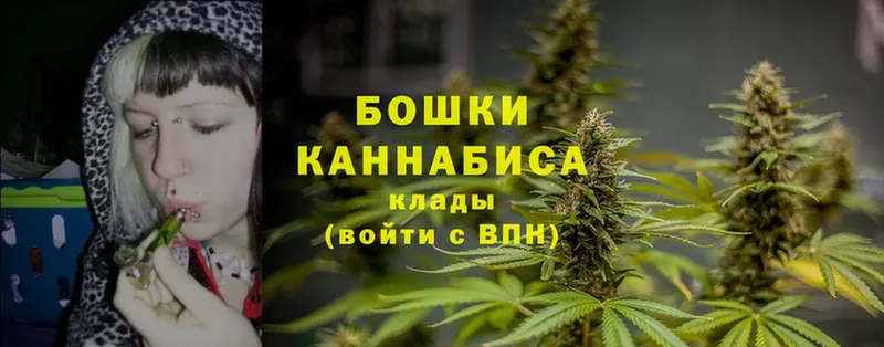 Бошки Шишки Ganja  что такое   Лукоянов 